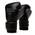 Everlast Powerlock 2R