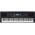 Yamaha PSR-EW310