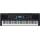 Yamaha PSR-EW310