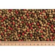 Exemplife AlltechCoppens Vergleich