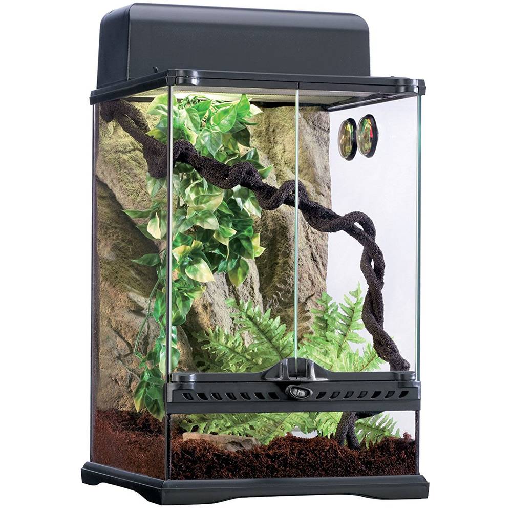 Terrarium kaufen Test & Vergleich » Top 14 im September 2024