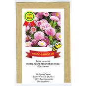 Exotic-samen Ausdauerndes Gänseblümchen Vergleich