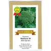 Exotic-Samen 43521