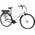 F.lli Schiano E-Moon E Bike