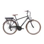 F.lli Schiano Elektrofahrrad