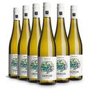 Fairgrapes Silvaner Cercus
