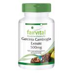 fairvital Garcinia Cambogia Kapseln