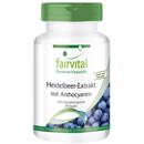 fairvital Heidelbeerextrakt