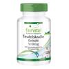 fairvital Teufelskralle Extrakt