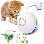 Fairwin Katzen Spielzeug Vergleich