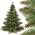 FairyTrees FT14