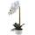 Famibay FM043001