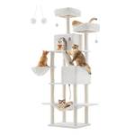Feandrea Kratzbaum PCT190T01