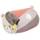 Fehn 060546