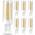 Feilemann G9 LED