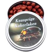 Feinkost Student Knusprige Kakerlaken Vergleich