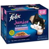 Purina Felix Junior So gut wie es aussieht