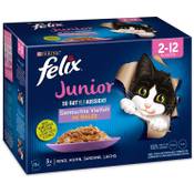Purina Felix Junior So gut wie es aussieht Vergleich