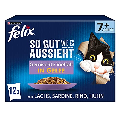 maine coon trockenfutter Getreidefreies Trockenfutter für kastrierte Maine Coons – Huhn – Ziggy main image 1