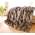 Felldecken Wohnen & Accessoires 1700100