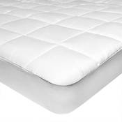 Feluna Gepolsterte Mikrofaser Vergleich