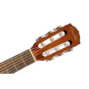 Fender ESC80 971970121 Vergleich