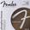 Fender HN144456 Saiten Akustikgitarre