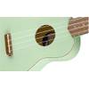 Fender Venice 971610504