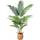 Ferrgoal Kunstpflanze Areca Palme