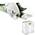 Festool TS 75