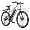 Finbike EB3