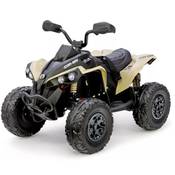 Finoos Can-am Renegade