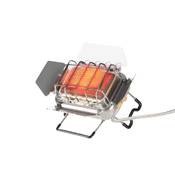 Fire-Maple Sunflower X