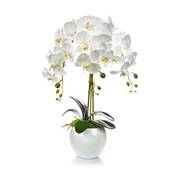 First künstliche Orchideen Vergleich