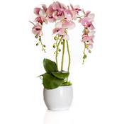 First Polska Künstliche Orchideen Vergleich