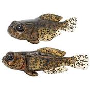 FISHN GOBYone Gummifische