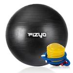 Fizyo Gymnastikball