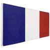 Flagscout Frankreich-Flagge