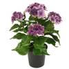 Flair Flower 087515V