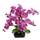 ‎Flair Flower 089608RSD