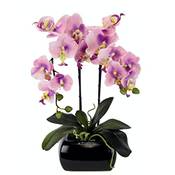 Flair Flower Kunstblume Schmetterling Orchidee Vergleich