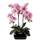 Flair Flower Kunstblume Schmetterling Orchidee