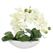 Flair Flower künstliche Orchidee in Schale Vergleich