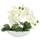 Flair Flower künstliche Orchidee in Schale