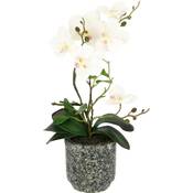 Flair Flower Schmetterling Orchidee Vergleich