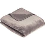 Amazon Basics Kuscheldecke