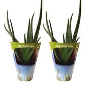 ‎Fleischle Gartenbau GbR 7133