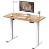 Flexispot E1