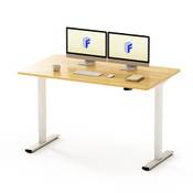 Flexispot Eg1