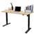Flexispot Eg1